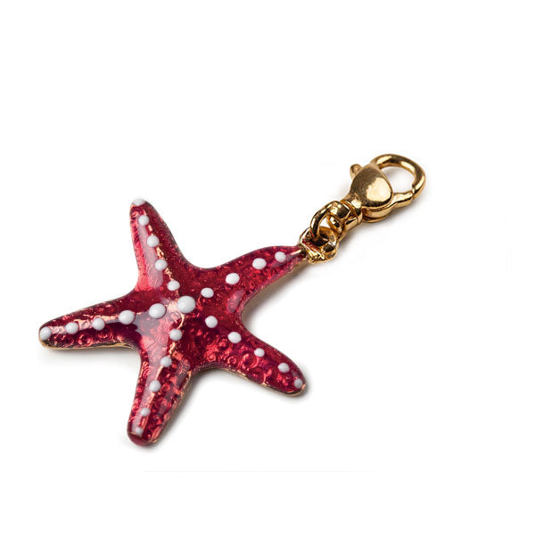 Charm donna Isola Bella Stella Marina in argento 20000033