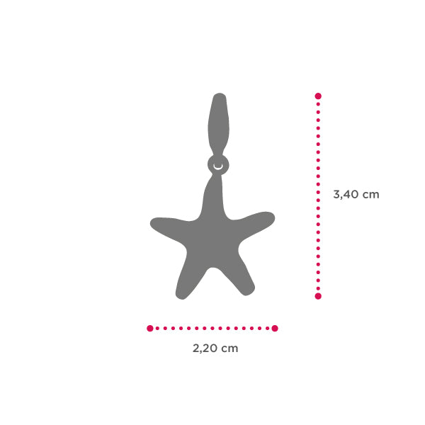 Charm donna Isola Bella Stella Marina in argento 20000033