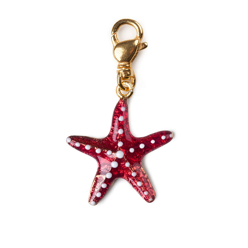 Charm donna Isola Bella Stella Marina in argento 20000033