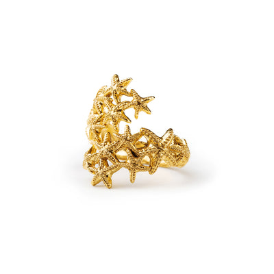 Anello donna Isola Bella Rosone Gold in lega placcata oro 60000231